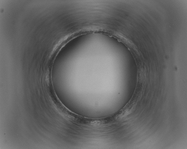 X0000073950064200609181411