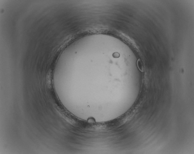 X0000073950065200609181411