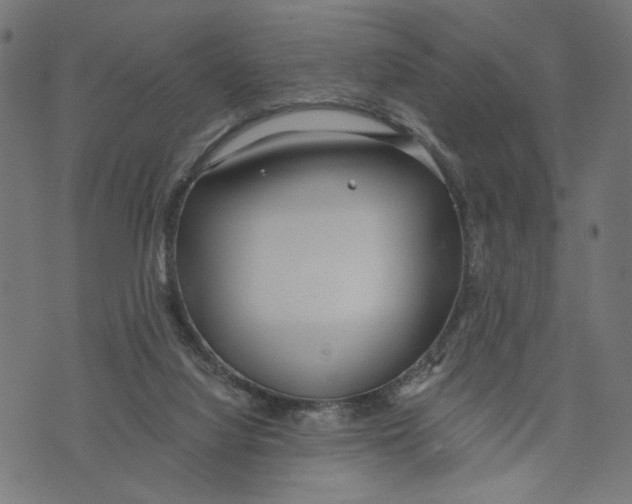 X0000073950068200609181411