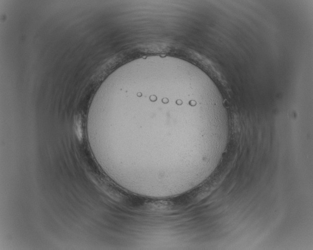 X0000073950069200609181411