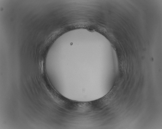 X0000073950070200609181411