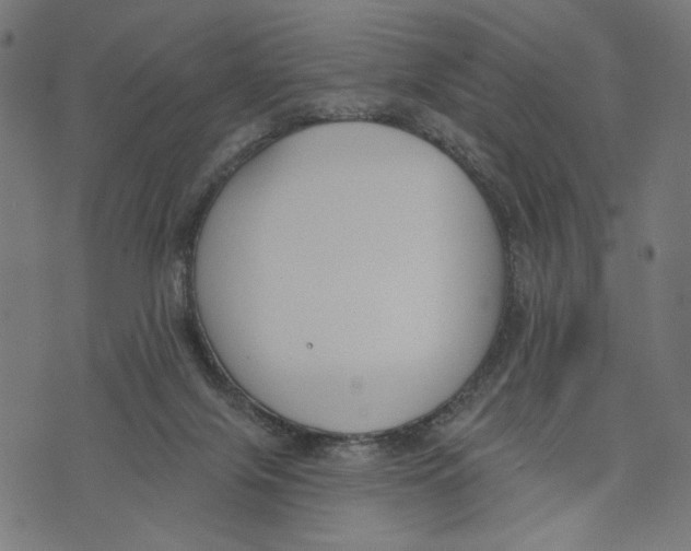 X0000073950071200609181411