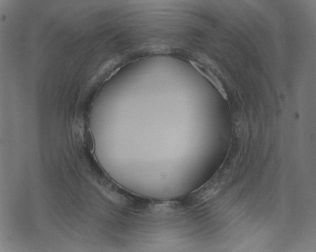 X0000073950072200609181411