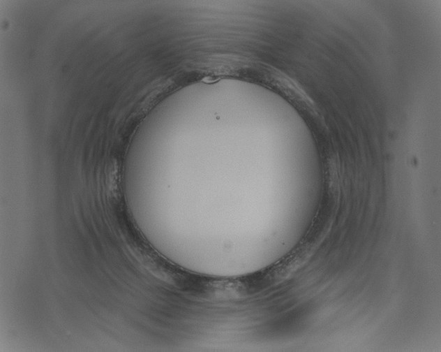 X0000073950073200609181411