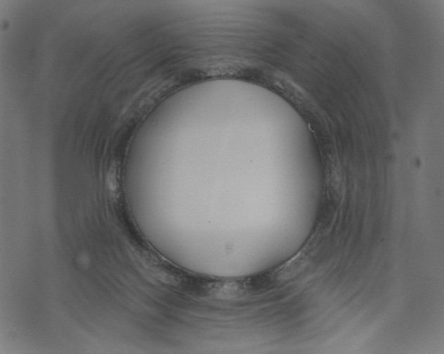 X0000073950074200609181412