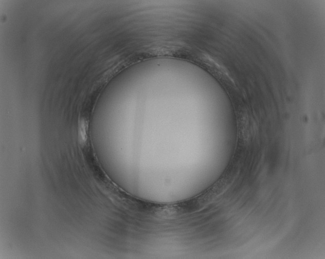 X0000073950075200609181412