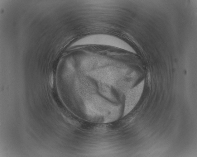 X0000073950076200609181412