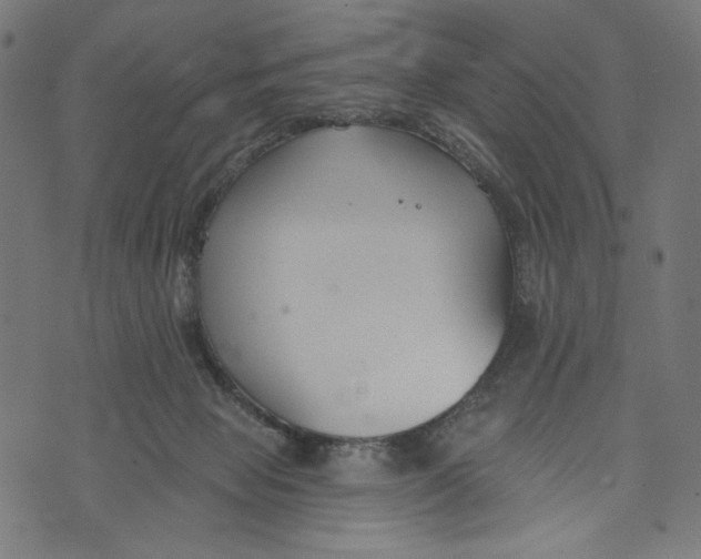 X0000073950077200609181412