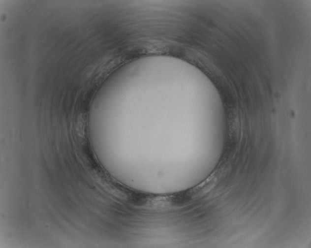 X0000073950078200609181412