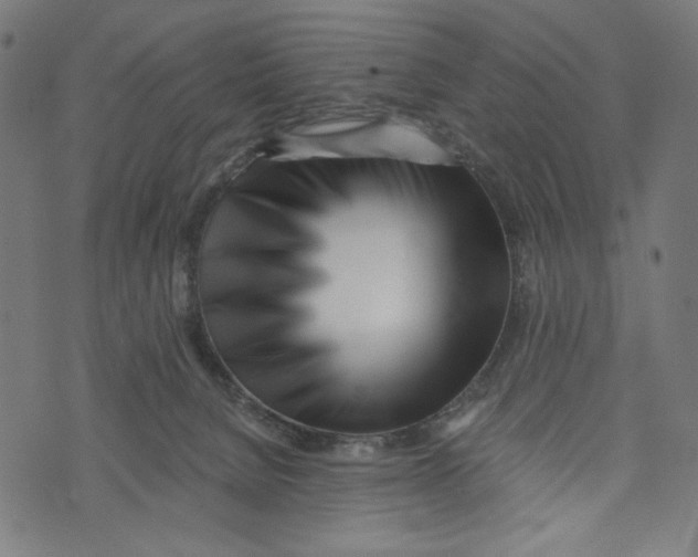 X0000073950080200609181412