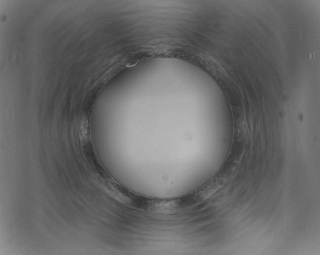 X0000073950081200609181412