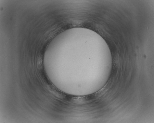 X0000073950082200609181412