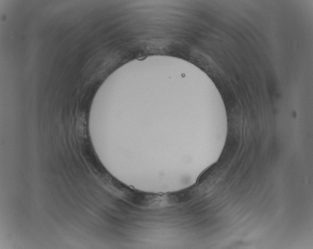 X0000073950083200609181412