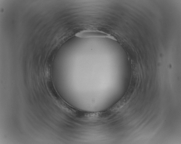 X0000073950084200609181412