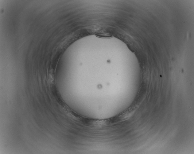 X0000073950085200609181412