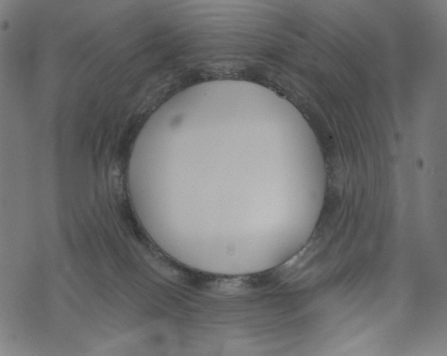 X0000073950086200609181412