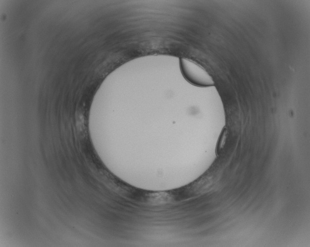 X0000073950087200609181412