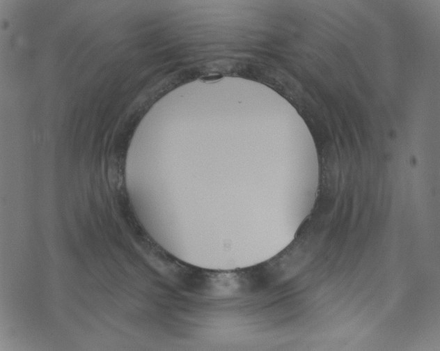 X0000073950091200609181412