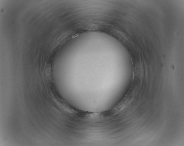 X0000073950092200609181412