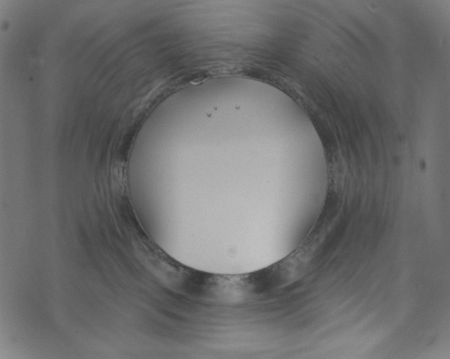 X0000073950093200609181412