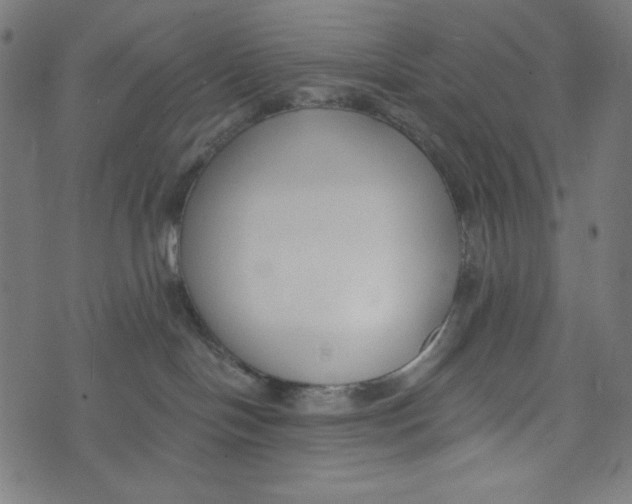 X0000073950094200609181412