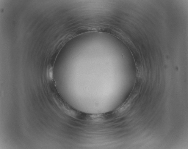 X0000073950095200609181412