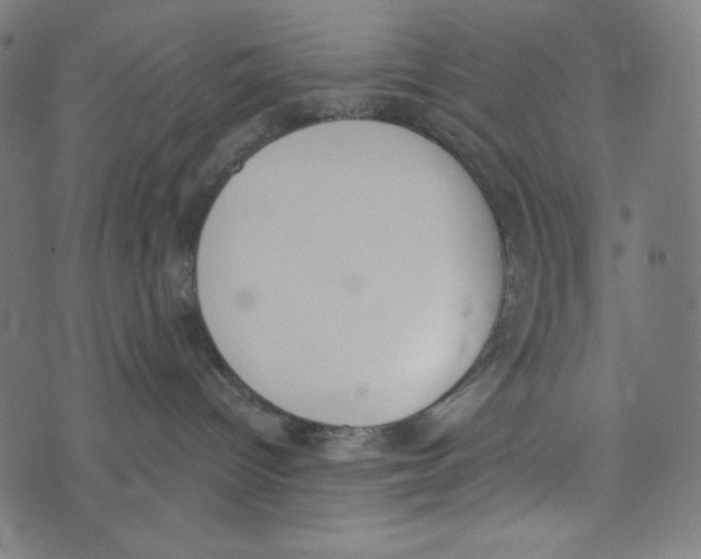 X0000073950096200609181412