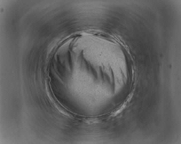 X0000073950097200609181411