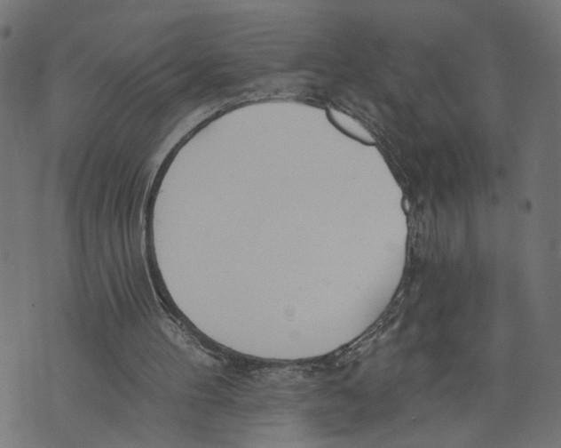 X0000073950100200609181411