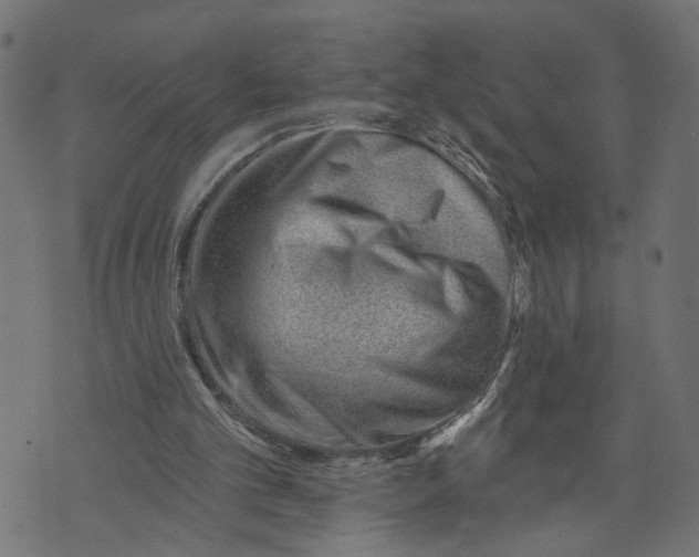 X0000073950101200609181411