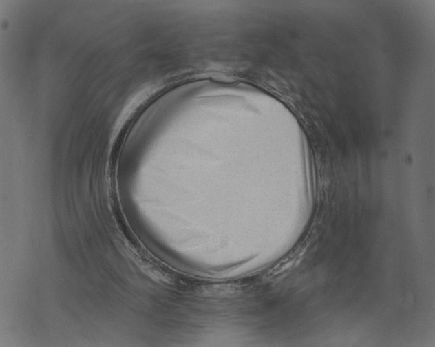 X0000073950102200609181411