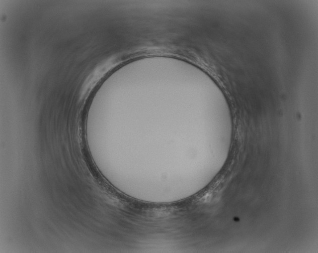 X0000073950103200609181411