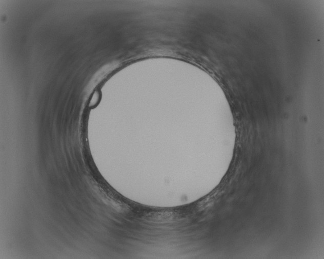 X0000073950104200609181411