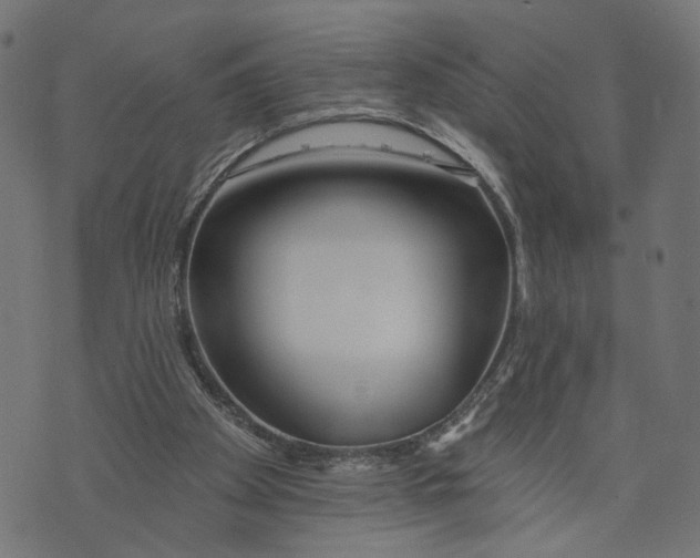 X0000073950105200609181411