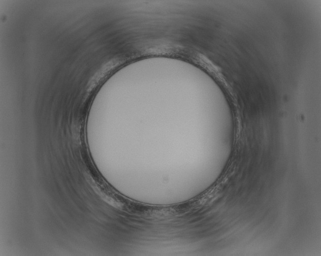 X0000073950106200609181411