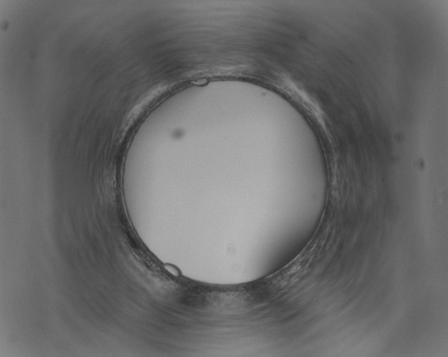 X0000073950107200609181411