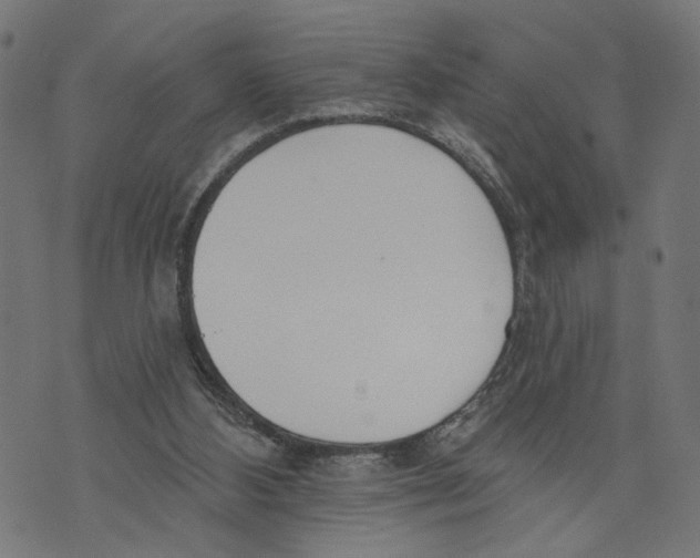 X0000073950108200609181411