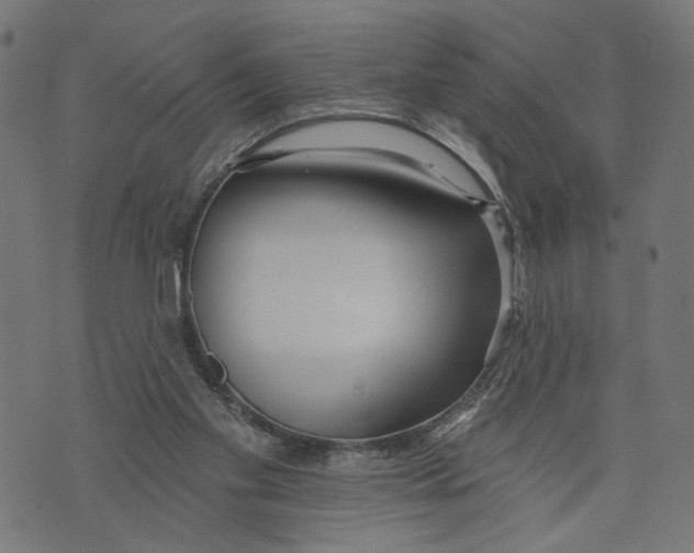 X0000073950109200609181411