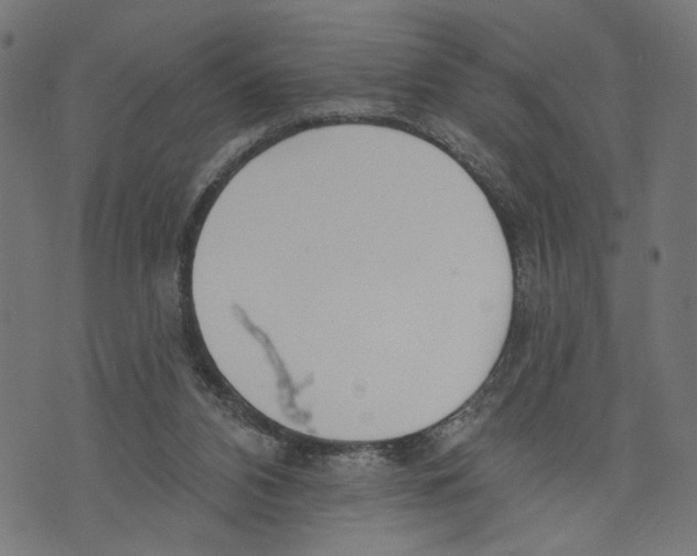 X0000073950112200609181411