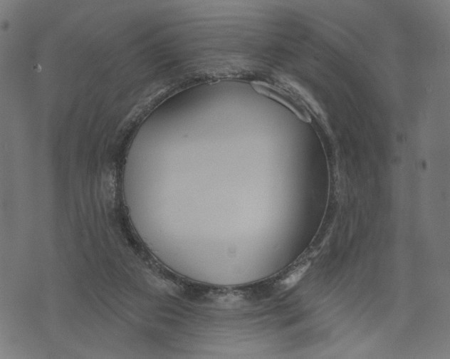 X0000073950113200609181411