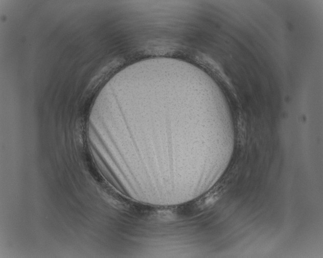 X0000073950114200609181411