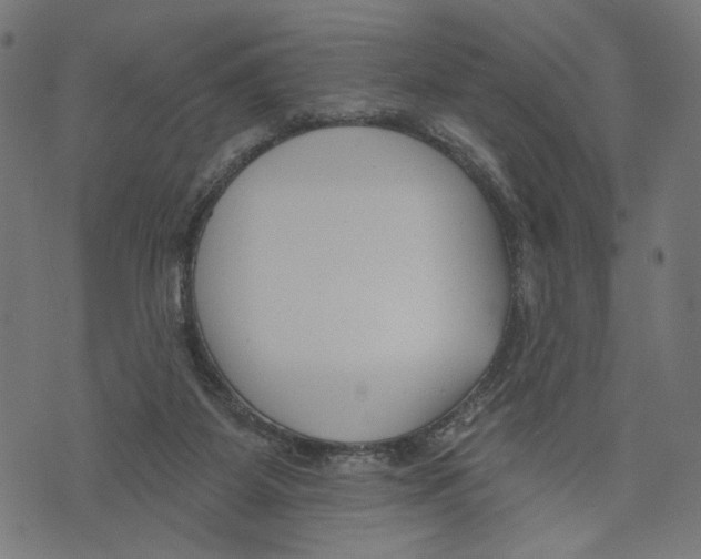 X0000073950115200609181411