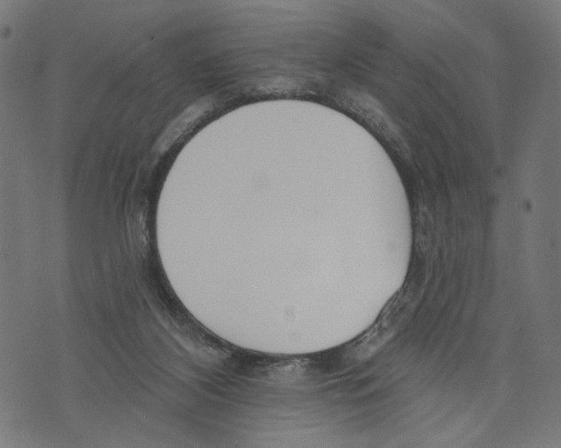 X0000073950116200609181411