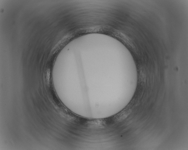 X0000073950118200609181411