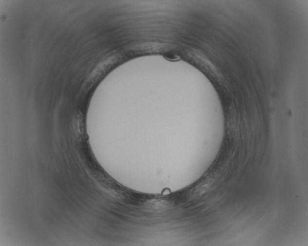 X0000073950119200609181411