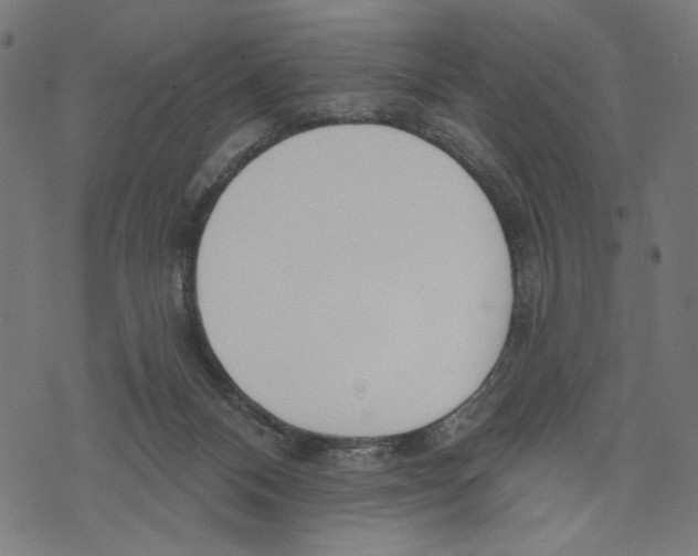 X0000073950120200609181411