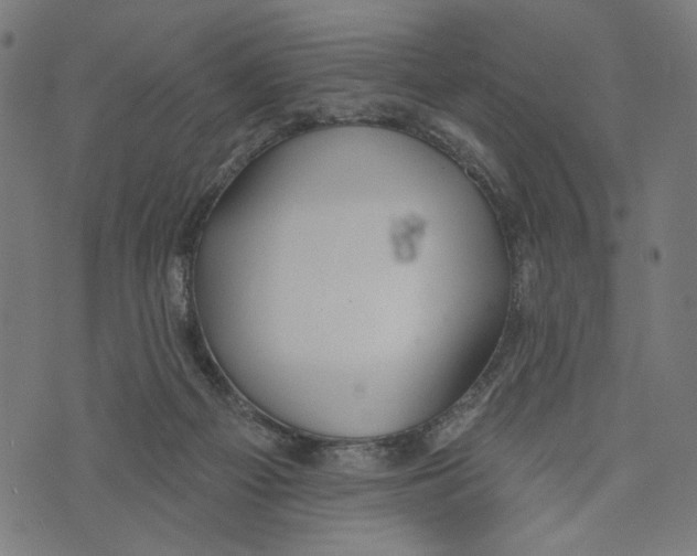 X0000073950121200609181411