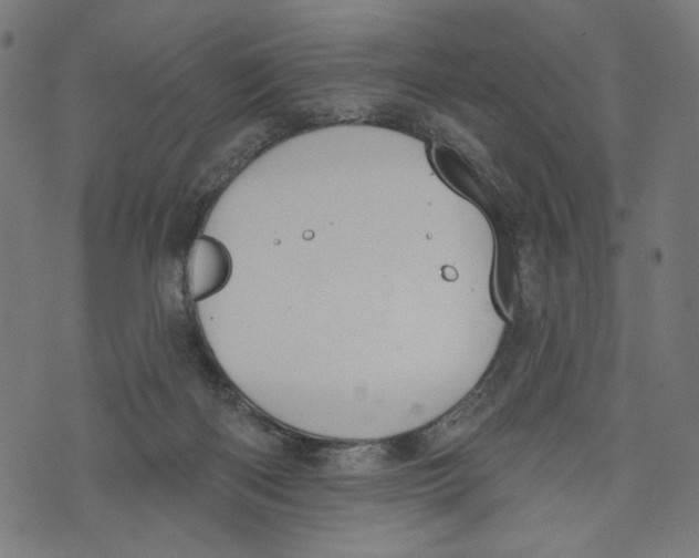 X0000073950122200609181411