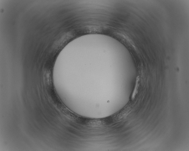 X0000073950123200609181411