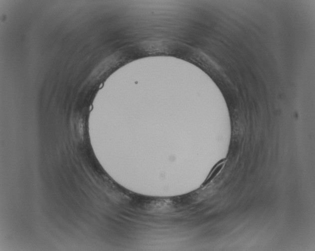 X0000073950124200609181411